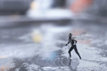 Industrial Light & Magic Brings Award-Winning Innovation to Marvel Studios’ ‘Ant-Man and The Wasp‘