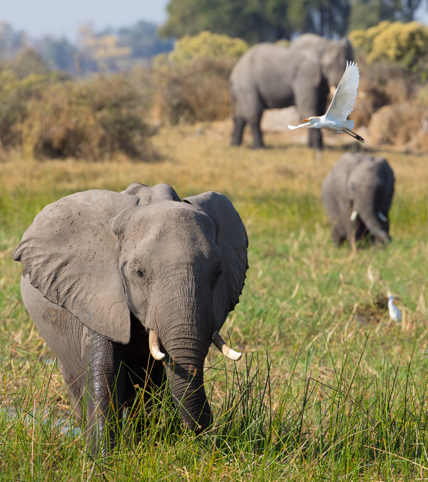 The Walt Disney Company Honors Our Planet and Inspires Action Through ...