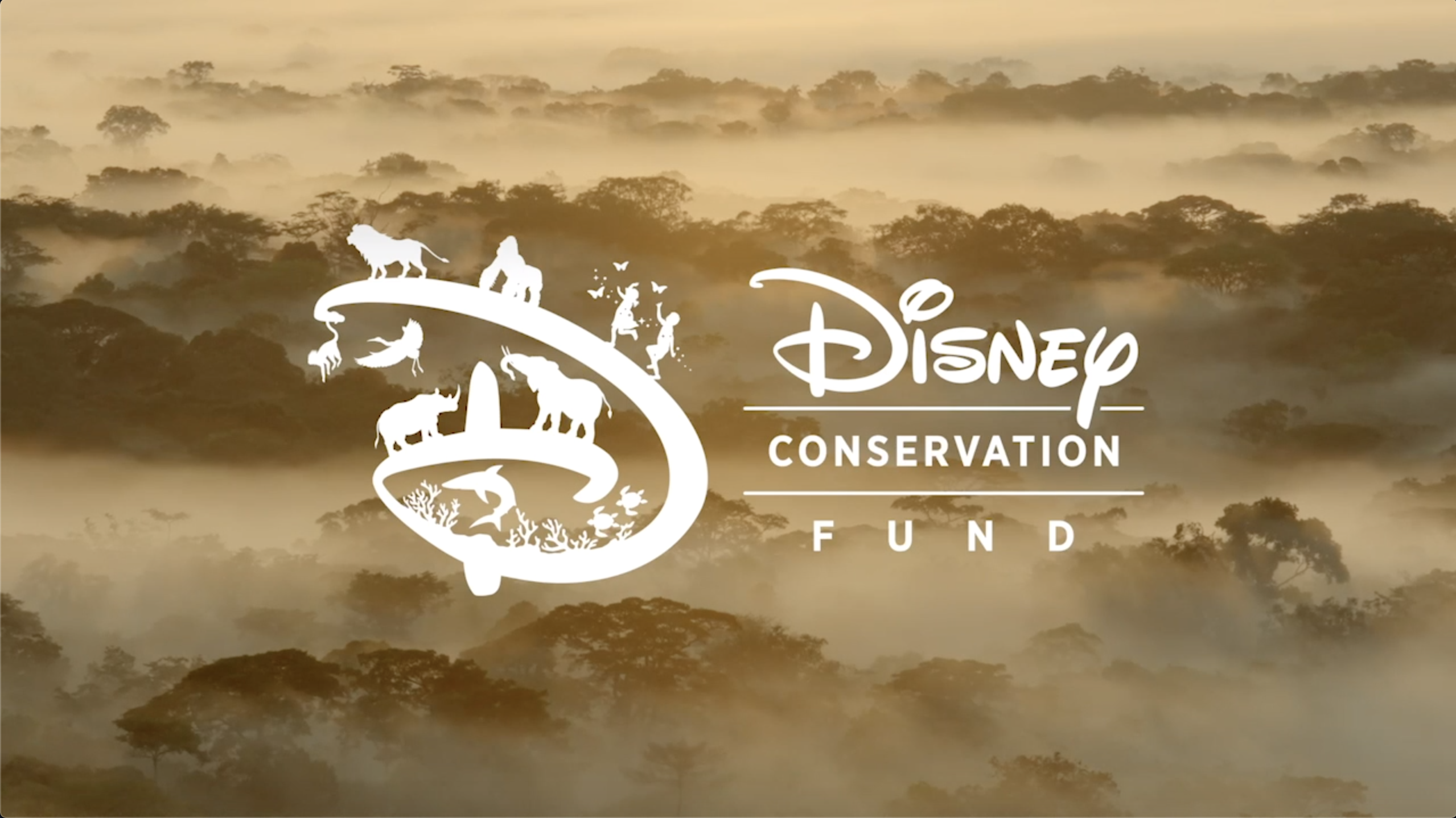 Disney Conservation Fund