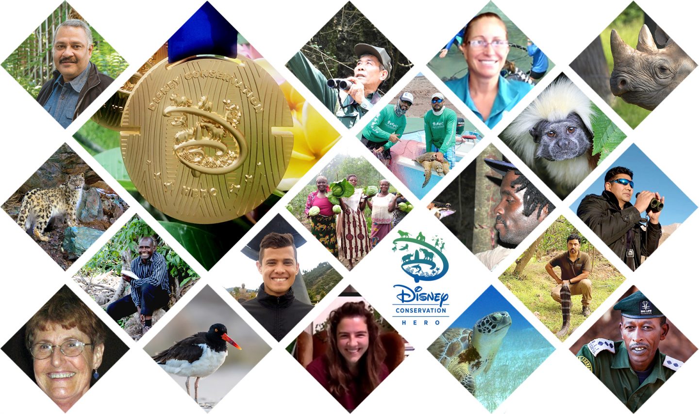 Disney anuncia os vencedores do Disney Conservation Hero Award 2020 Disney anuncia os vencedores do Disney Conservation Hero Award 2020