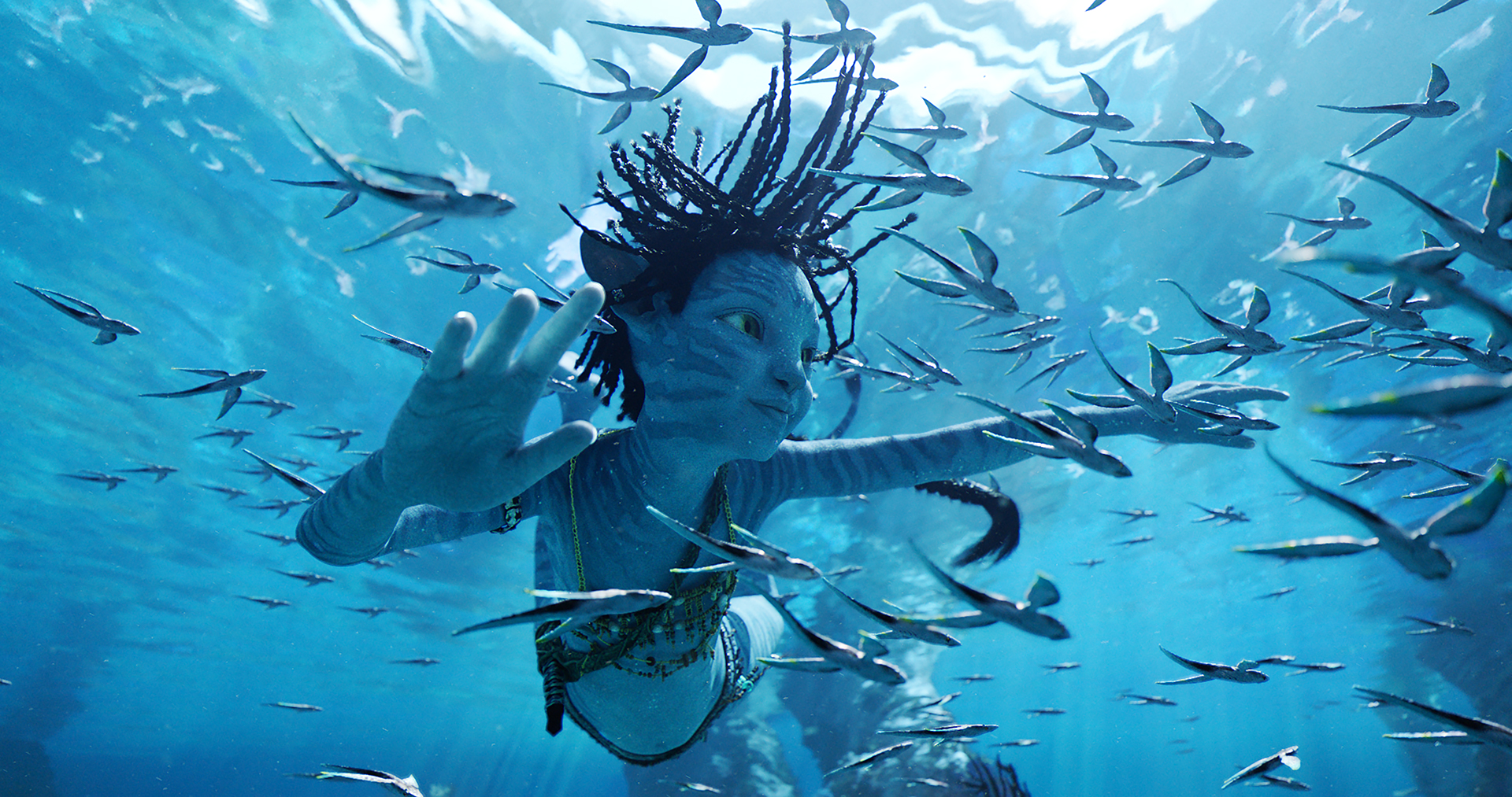 Cartoon Underwater Scene Images – Browse 12,366 Stock Photos, Vectors, and  Video | Adobe Stock