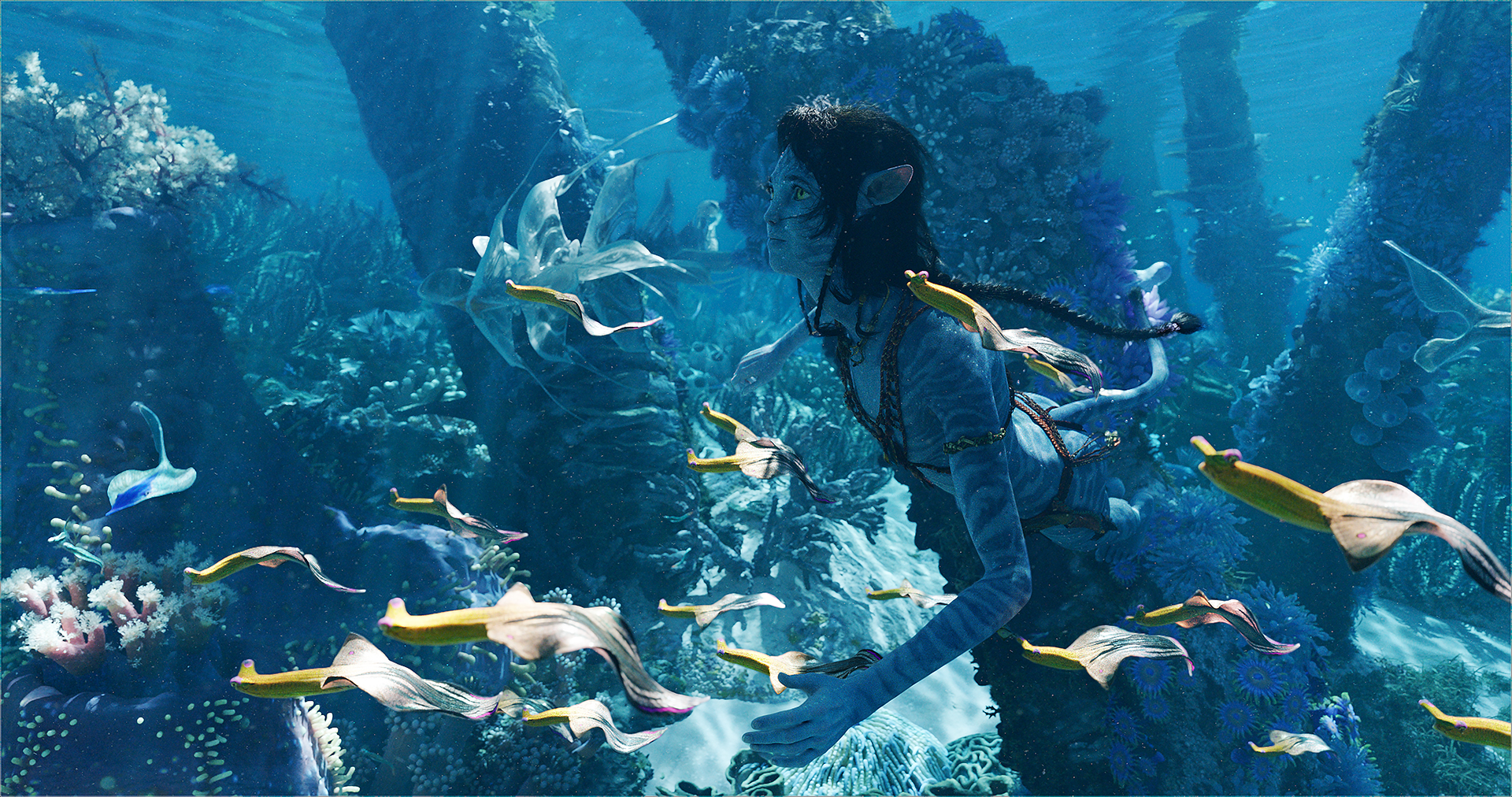 “Avatar: O Caminho da Água” É a 3ª maior Bilheteria do Cinema
