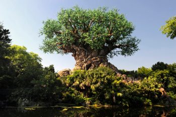 How Disney’s Animal Kingdom Became a Beacon of Conservation