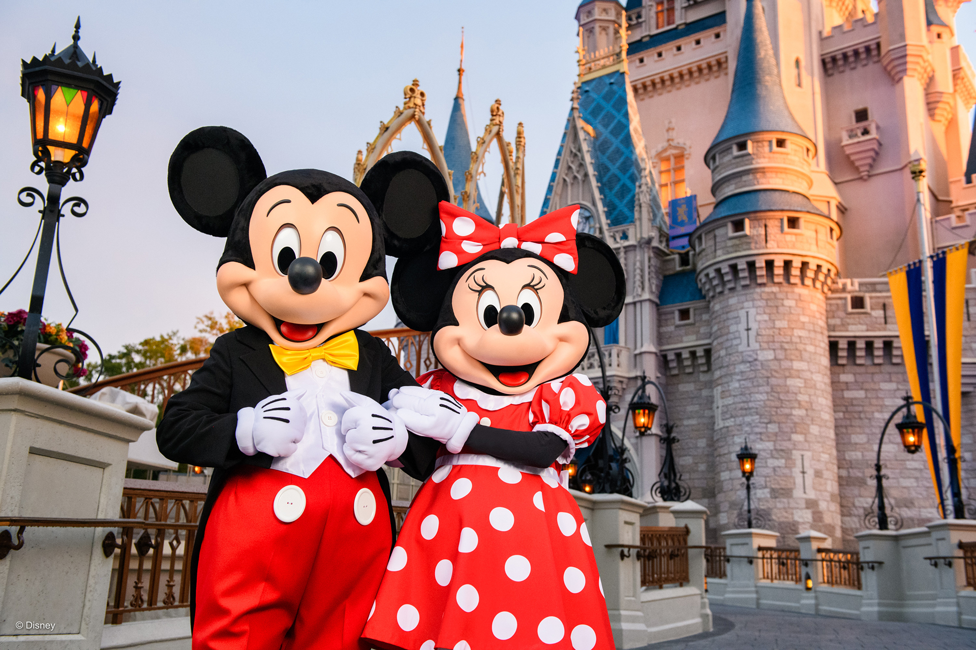 Walt Disney Parks and Resorts Growth Fact Sheet