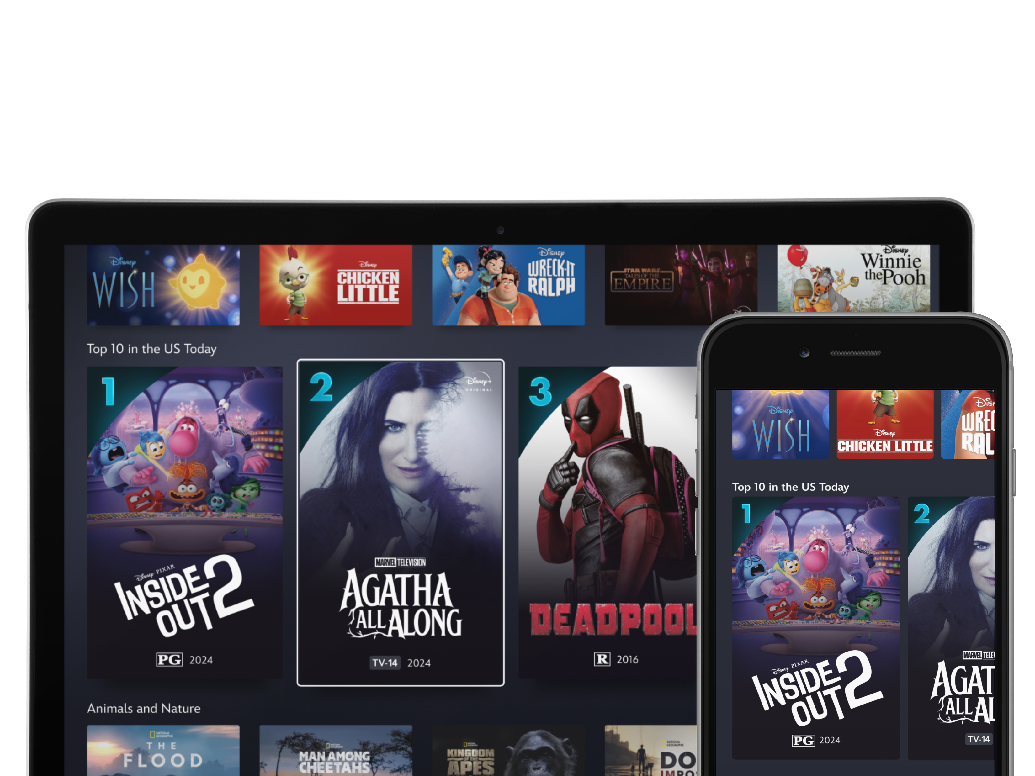 Disney's Streaming Services: Disney+ (and Hulu, ESPN+, Star, & hotstar ...
