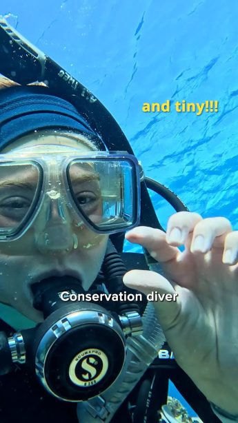 @disneyconservation on Instagram