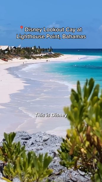 @disneyconservation on Instagram