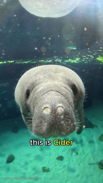 @drmarkatdisney on Instagram