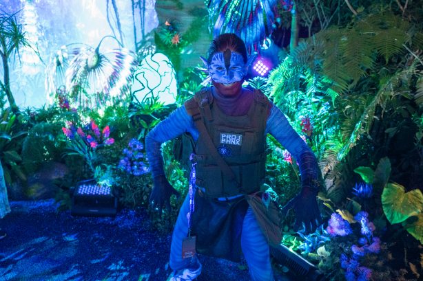 Step Into the Magic: The Avatar Experience