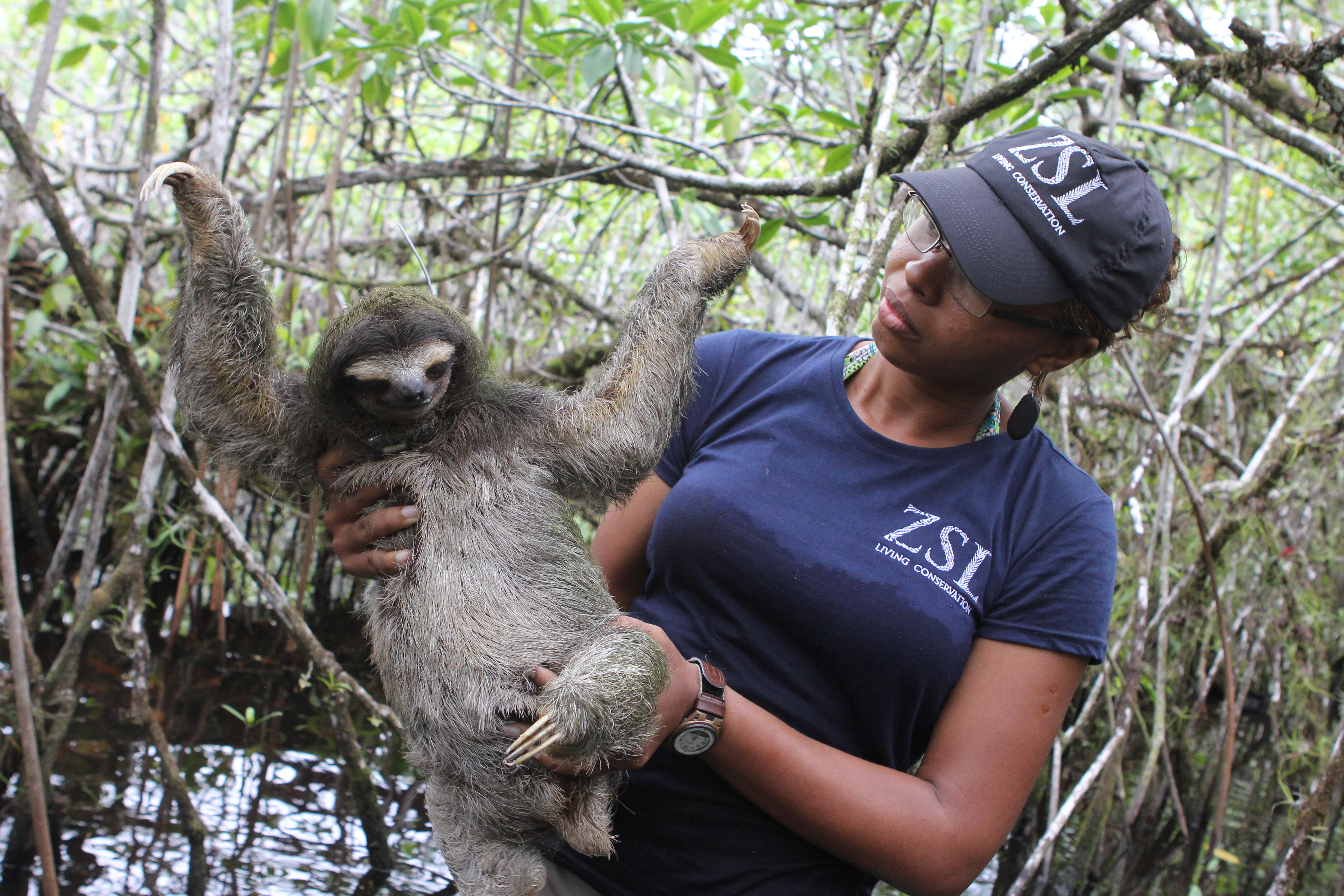 Disney Conservation Fund Announces 2016 Conservation Heroes