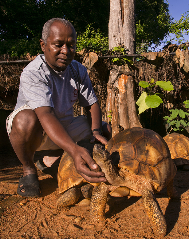 Parts of the snare - Game and Wildlife Conservation Trust